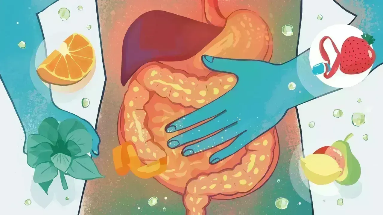 Understanding Digestive Issues and Enhancing Gut Wellness