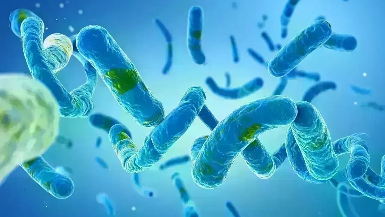 Infectious Diseases on the Rise: Global Monitoring Efforts Intensify