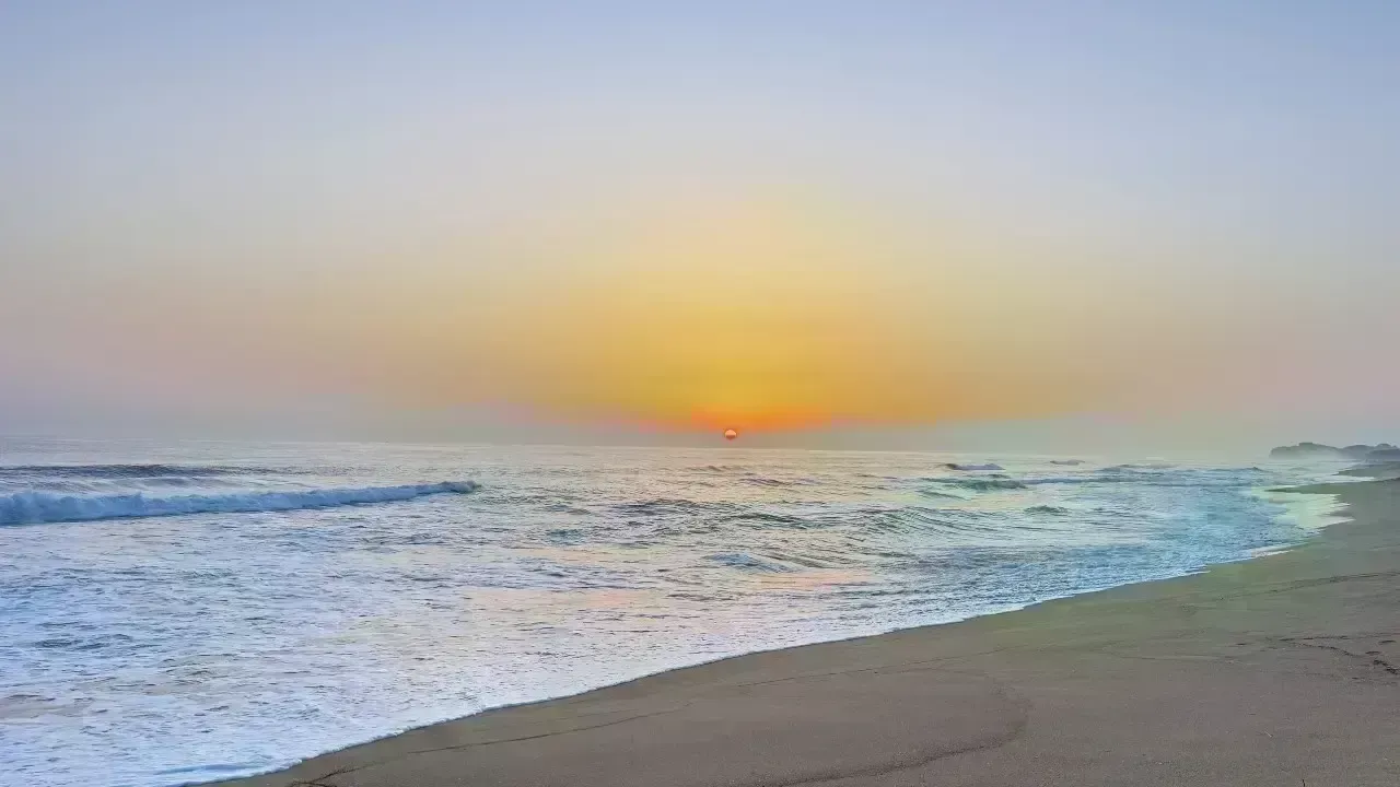 Historic Ocean Treaty: A Global Commitment to Protect High Seas