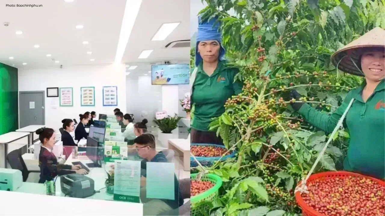 Vietnam's Resolution 79 Enhances Private Sector Engagement