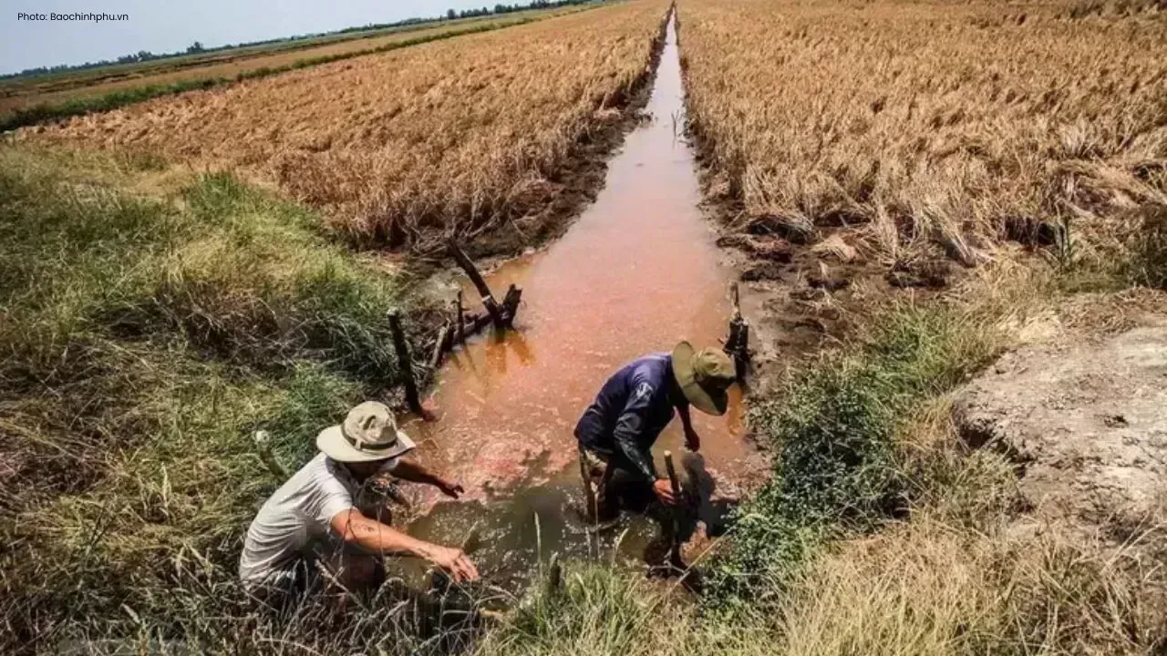 Increasing Saltwater Intrusion Threats in Mekong Delta