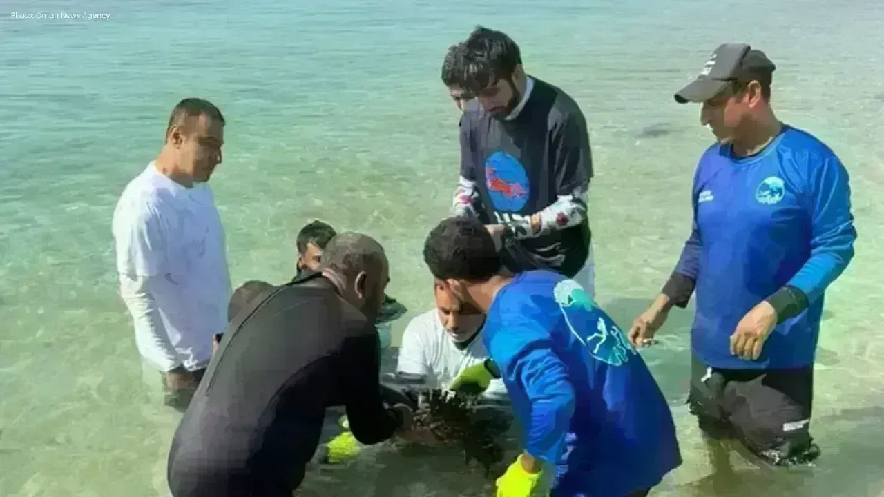 Oman Unveils Coral Reef Revival Initiative