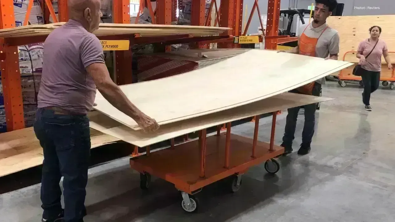 Inquiry Launched into Plywood Imports from China by Canada