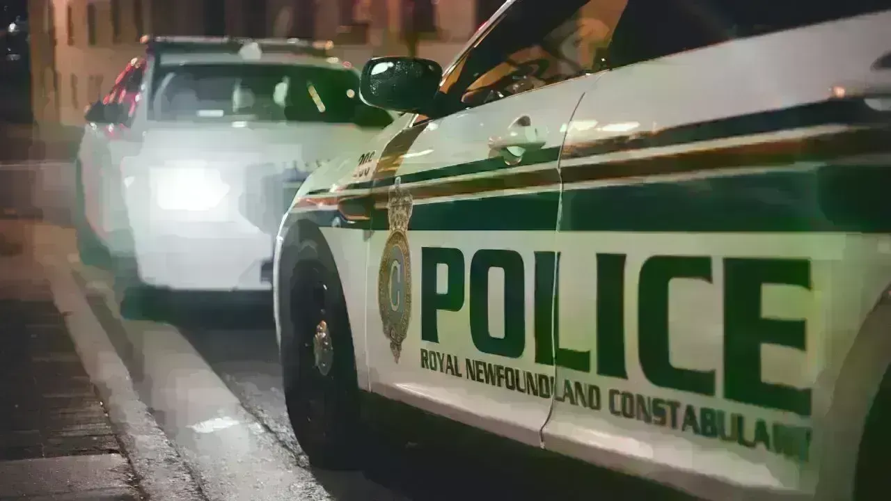 Tragic Pedestrian Fatality on Belleville Highway