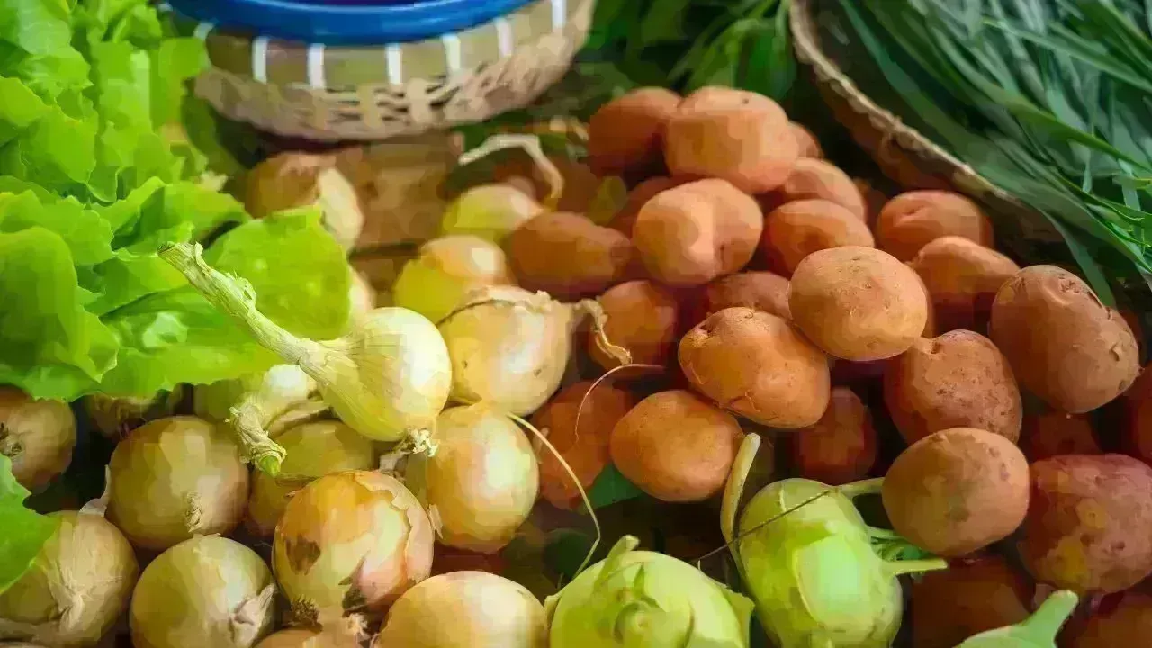 Lebap Farmers Anticipate Bountiful Crop Harvests