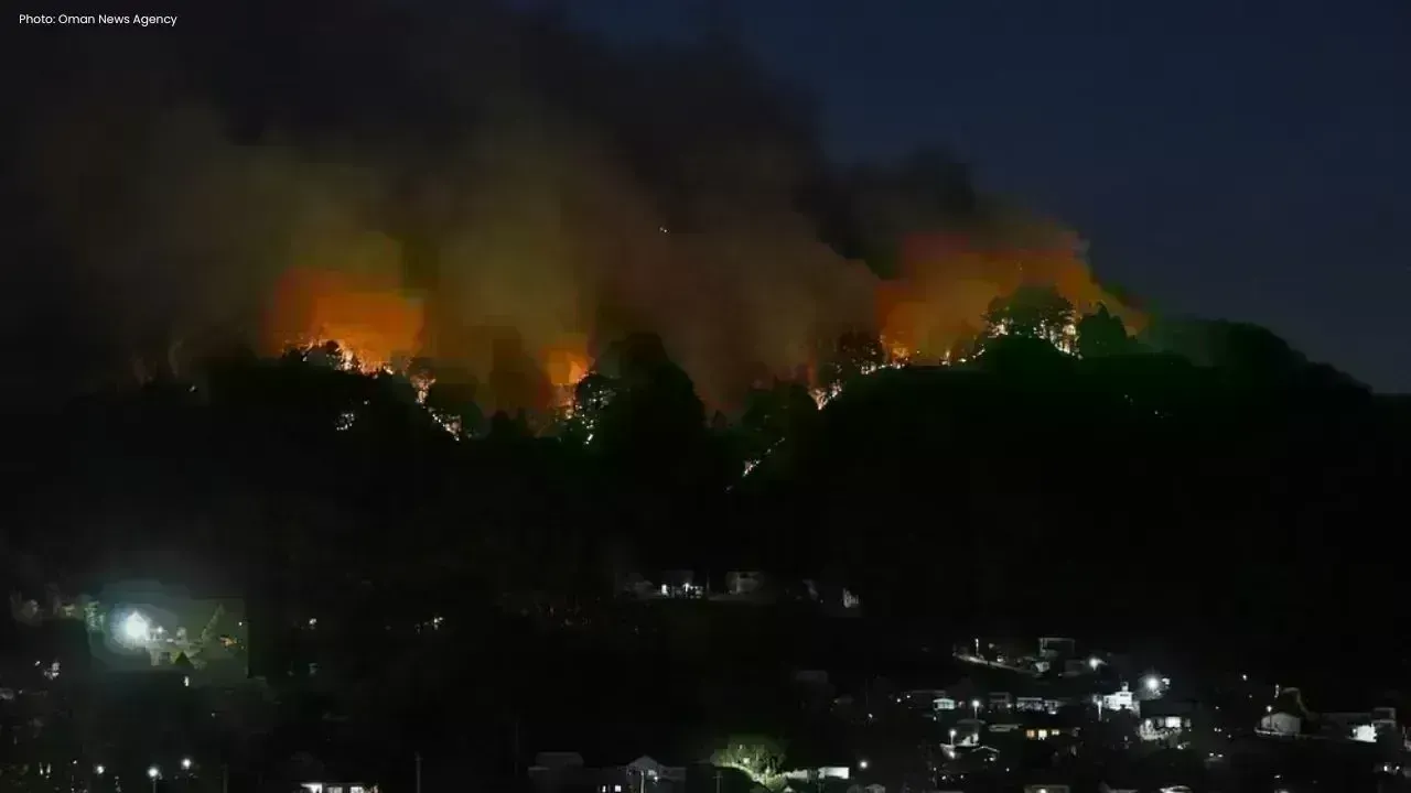 Control Gained Over Japan's Iwate Wildfire After Prolonged Battle