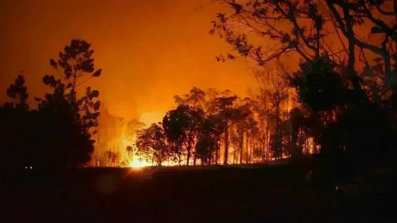 Indonesia Achieves 86% Reduction in Forest Fires