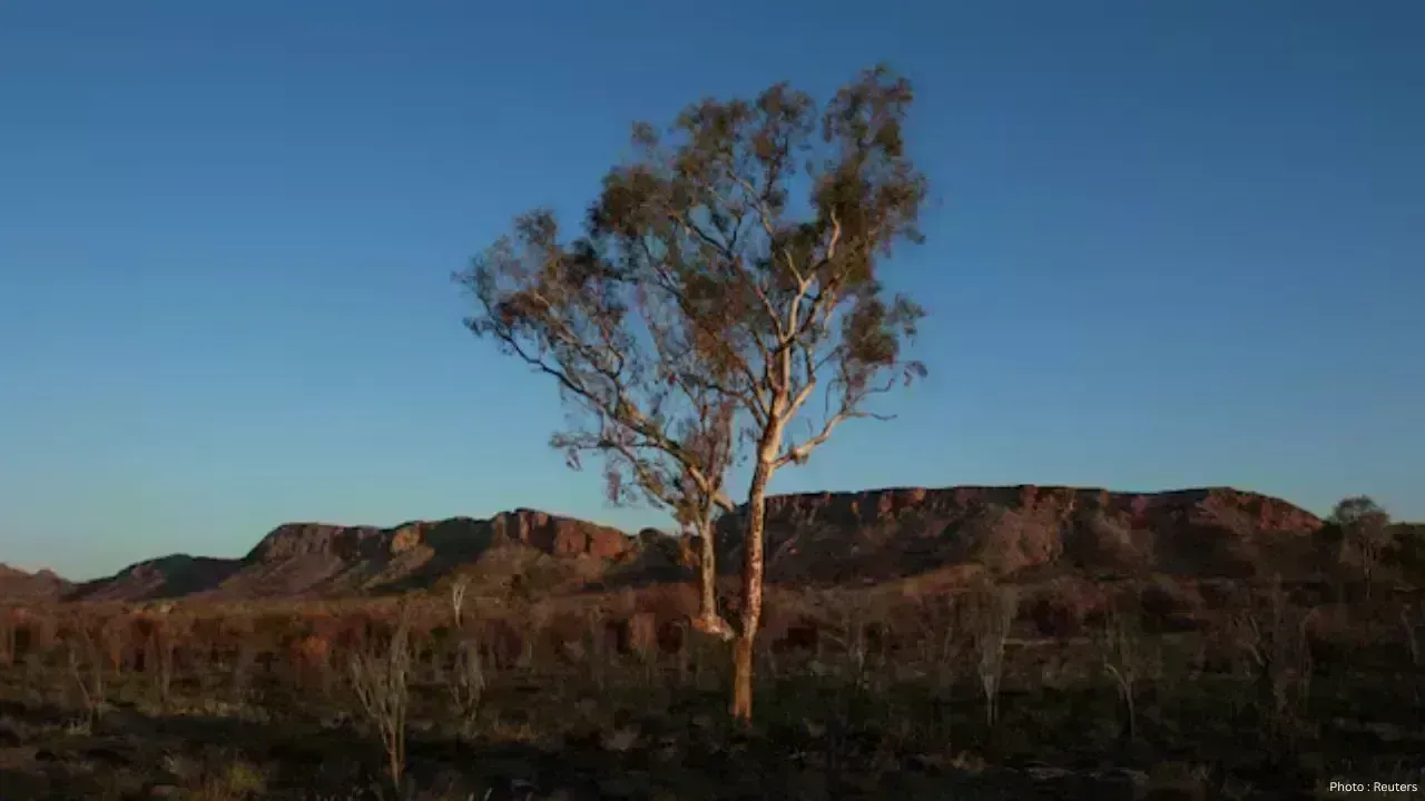Global Plant Species Face Risks from Climate Change