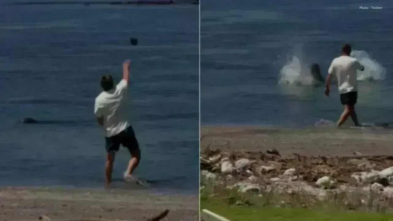 Hawaii Issues Beach Ban for Man Accused of Endangering Seal