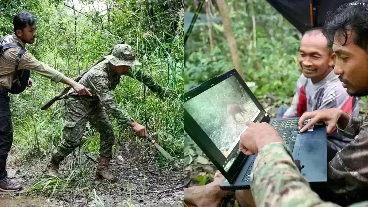 AI and Hidden Cameras Join Forces to Safeguard Cambodia's Wildlife
