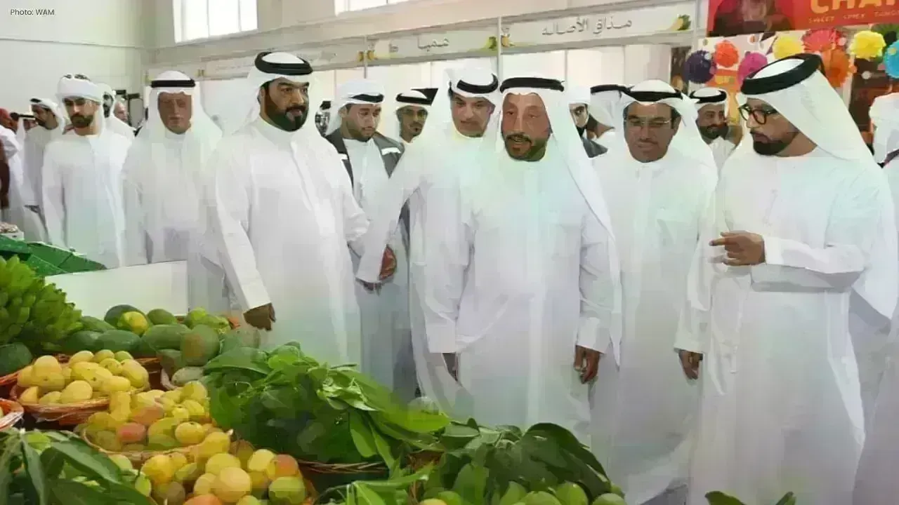 Khorfakkan Mango Festival Sees 40% Rise in Participation