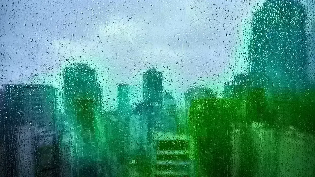 Rain Brings Cooler Weather to Fujairah and Khor Fakkan