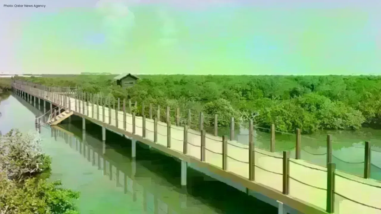 Qatar Expands Mangrove Protection as Forests Cover 14 Sq Km