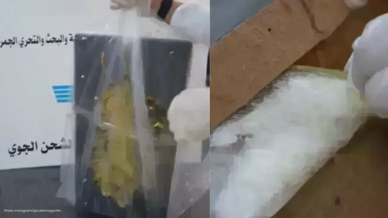 Kuwait Customs Seizes 1.25kg Narcotics in Pakistan Air Cargo